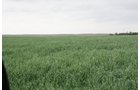 Property photo 71 - LAND AUCTION, 3255+/- Acres offered in 13 Tracts